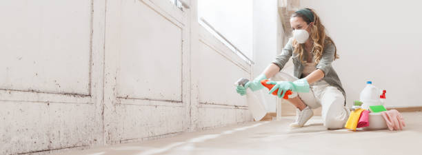 Trusted Buckhead Ridge, FL Mold Inspection, Removal & Remediation Experts